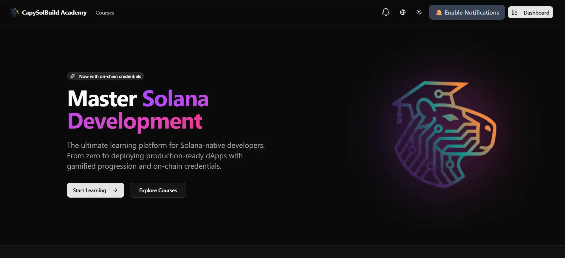 CapySolBuild Academy